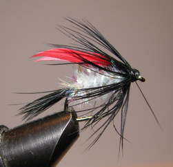 ���� ������ Wet fly 